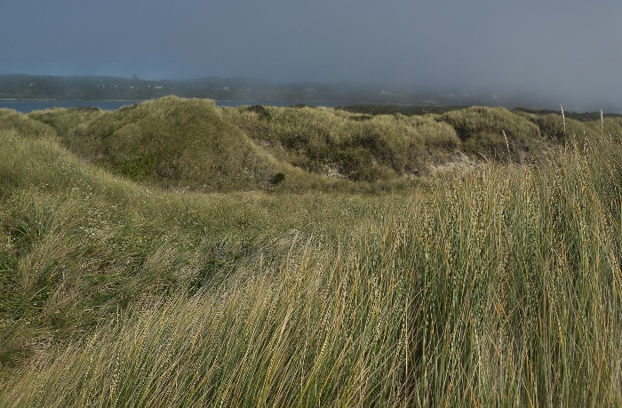 jetty dunes